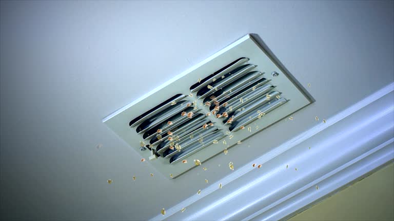 Best Ductwork Cleaning Services  in Meadowood, PA