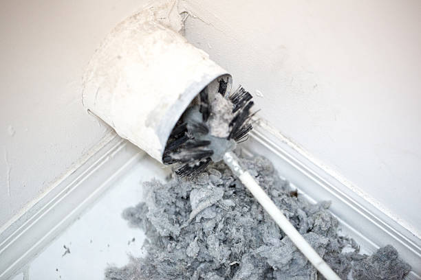 Best Local Air Duct Cleaning Services  in Meadowood, PA